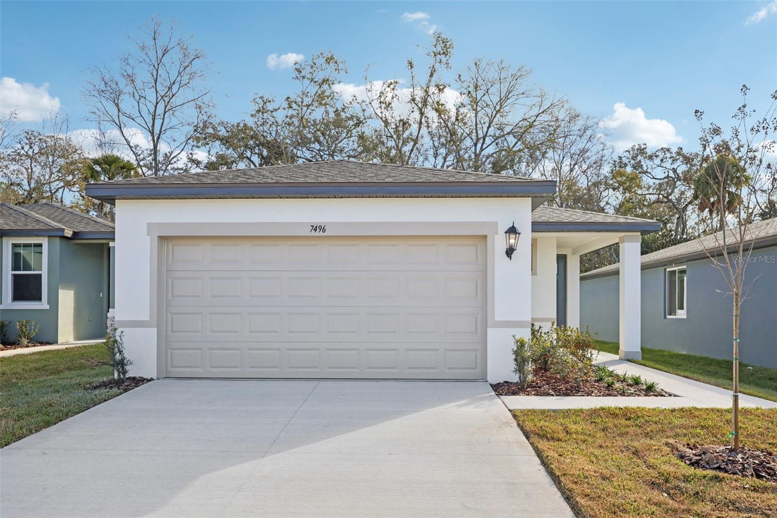 7496 Mia Vine Dr photo 1