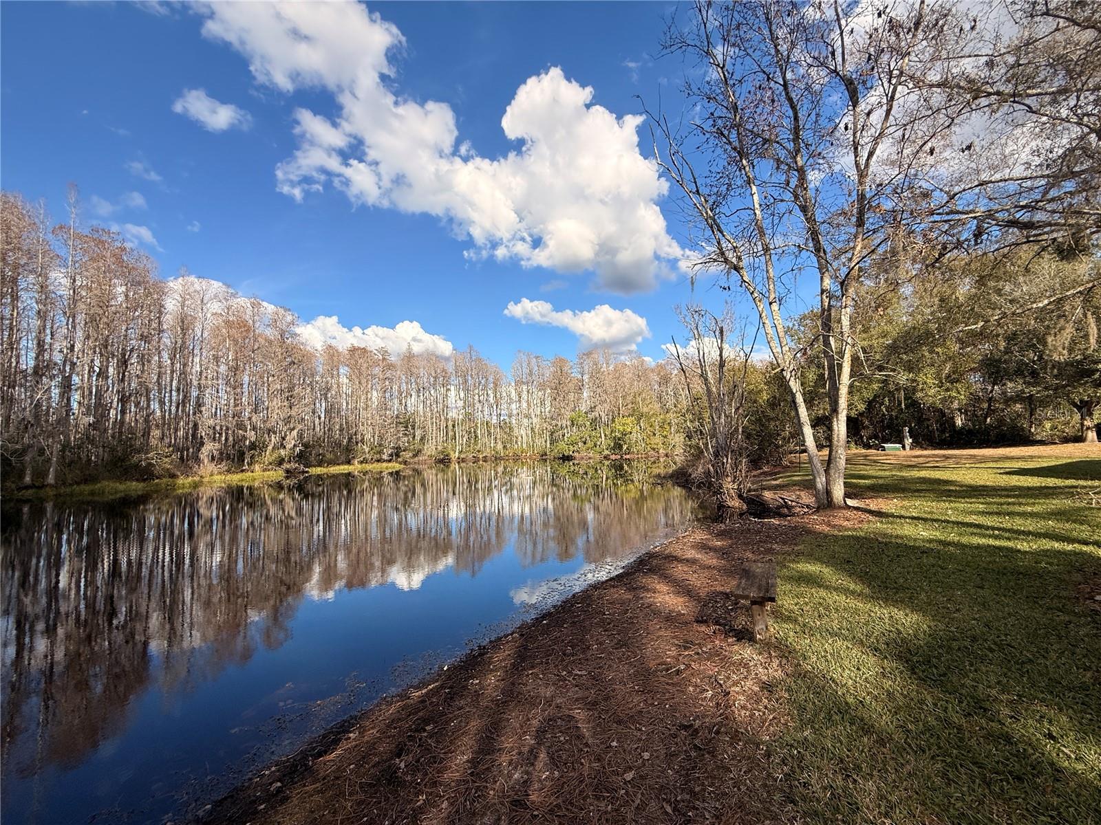 12155 Environmental Dr #6 photo 1