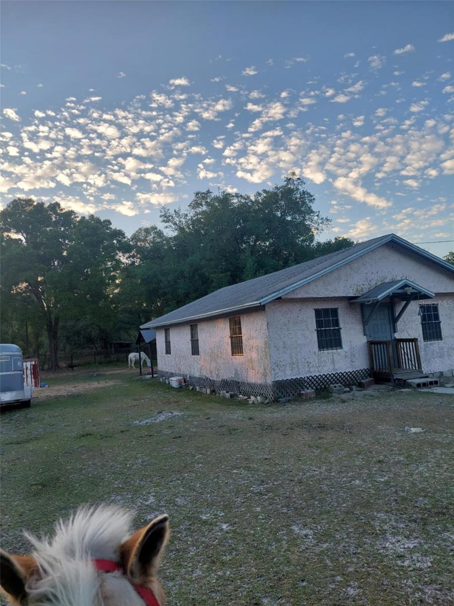 14016 N. Hwy 301 photo 1