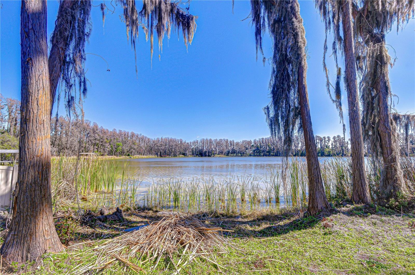 6608 Wisteria Loop photo 1