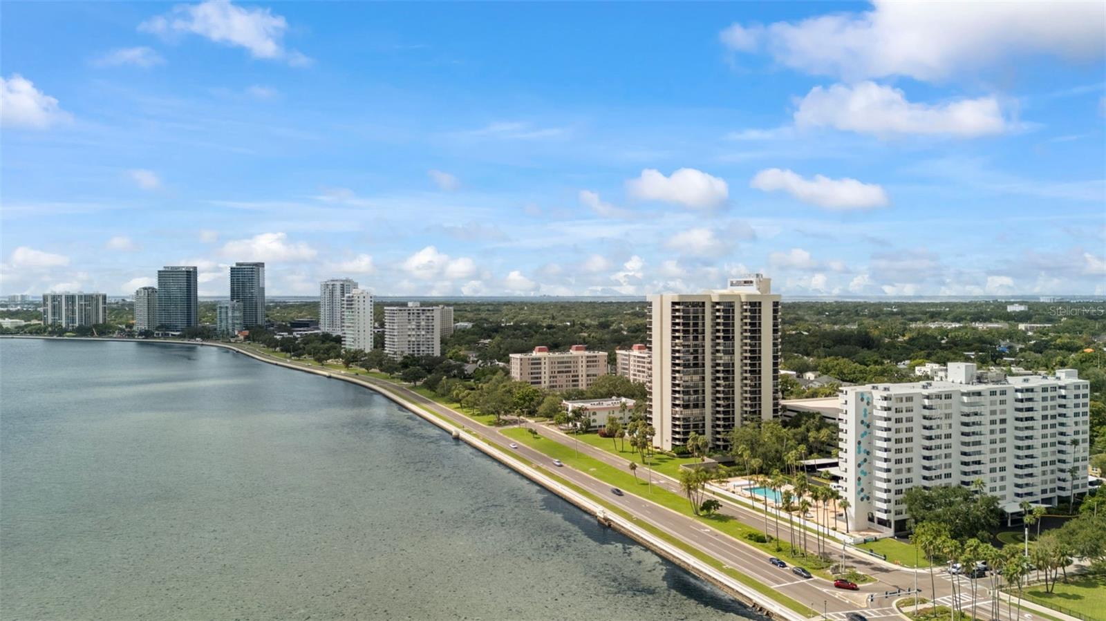 4141 Bayshore Blvd #306 photo 1