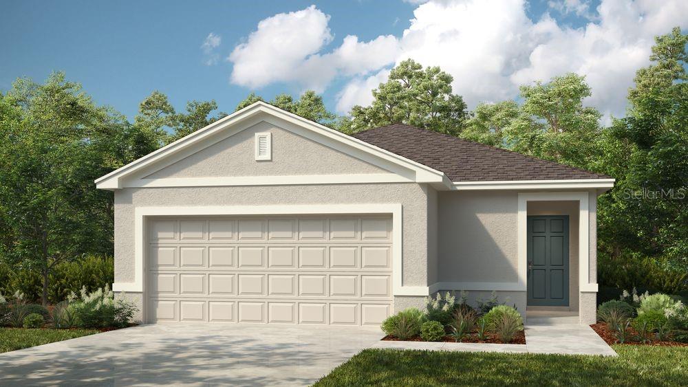 12449 Whisk CT photo 1