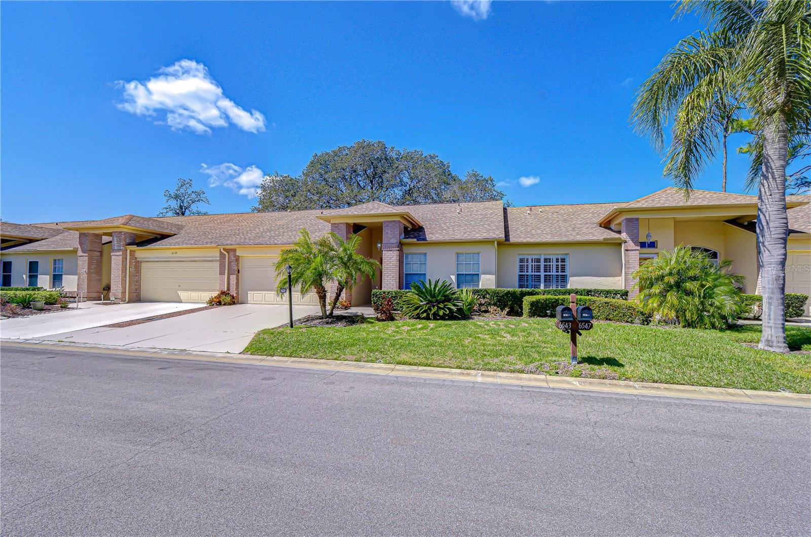 6543 Pine Walk Dr photo 1