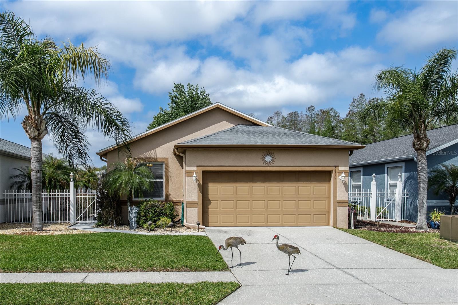 8415 Tarocco CT photo 1