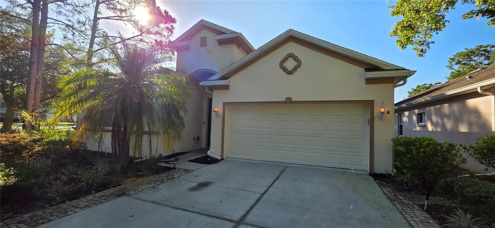 10906 Tree Cactus Loop photo 1