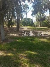 5353 Tropical Woods CT