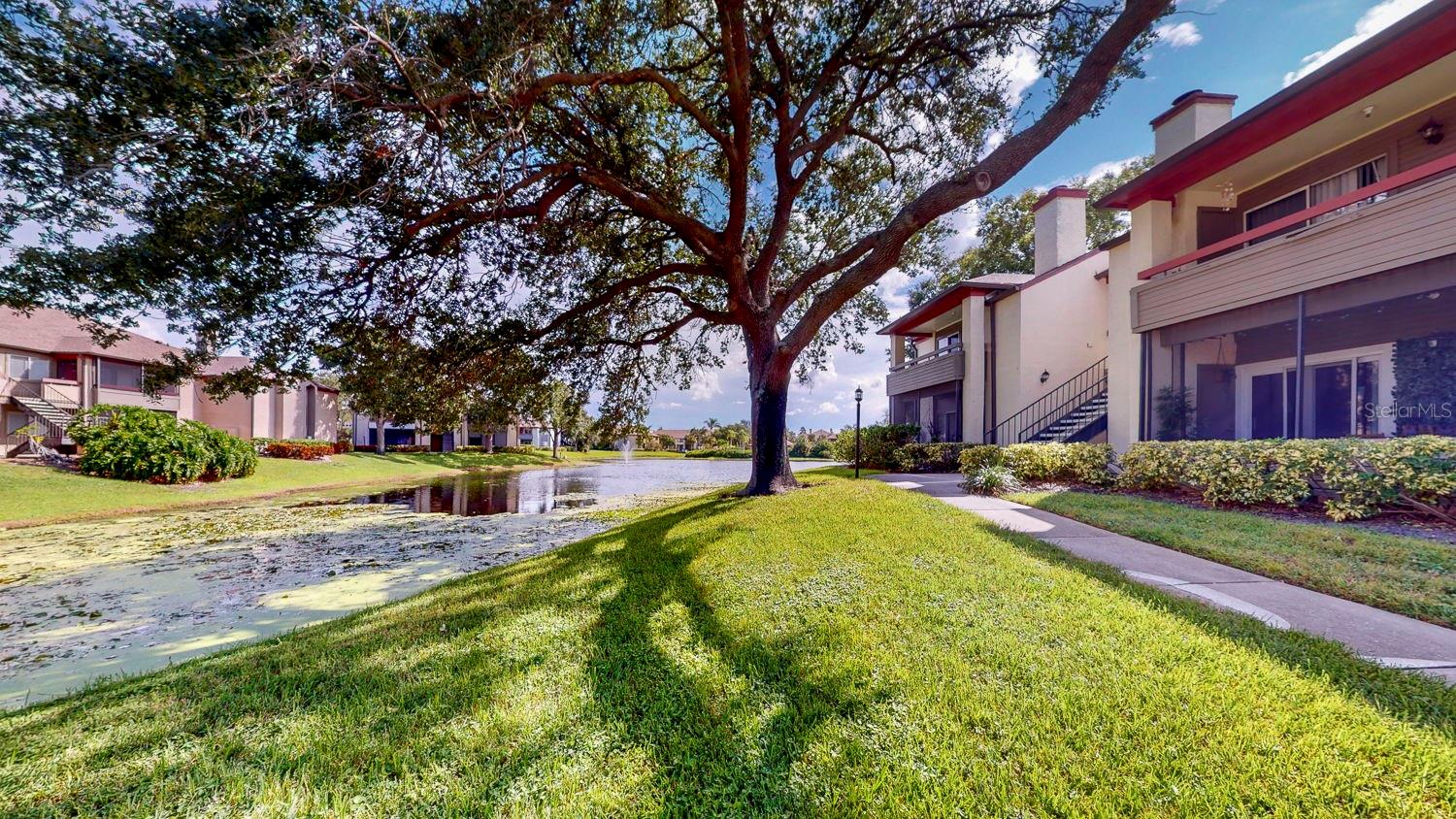 10265 Gandy Blvd N #1302