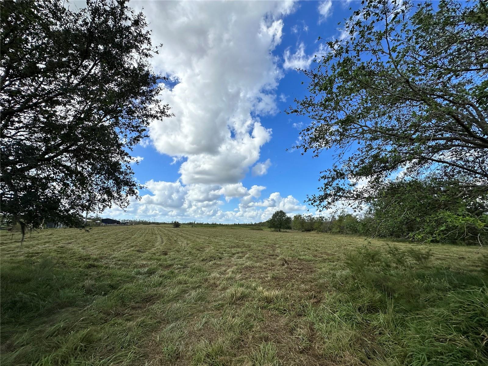 Wauchula Rd photo 1