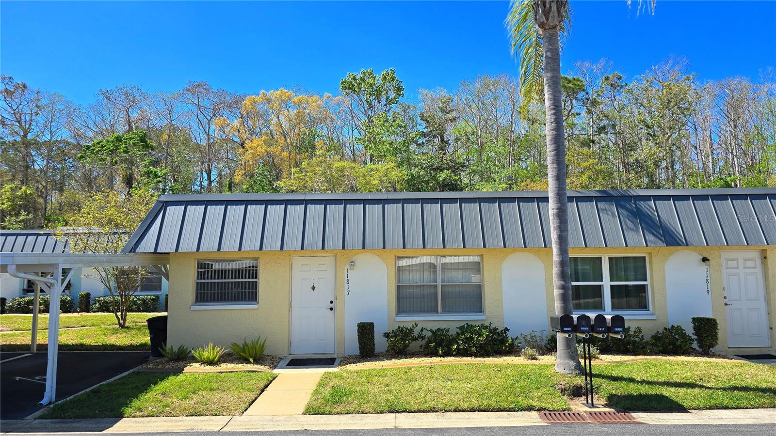 11817 Bayonet Ln photo 1