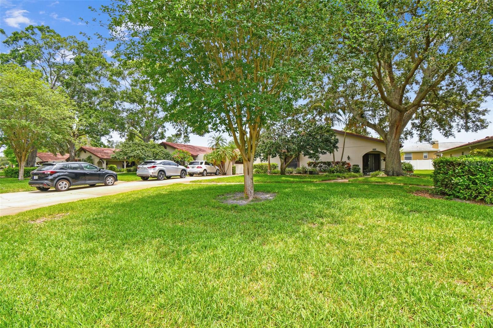3476 Tarpon Woods Blvd