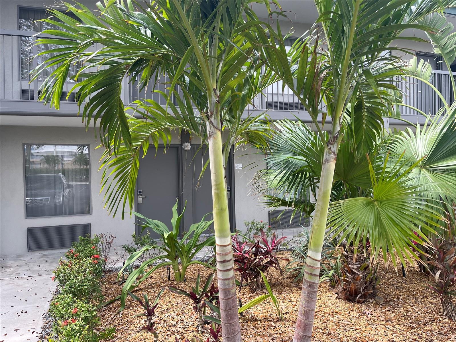 7150 N Tamiami Trl #S510