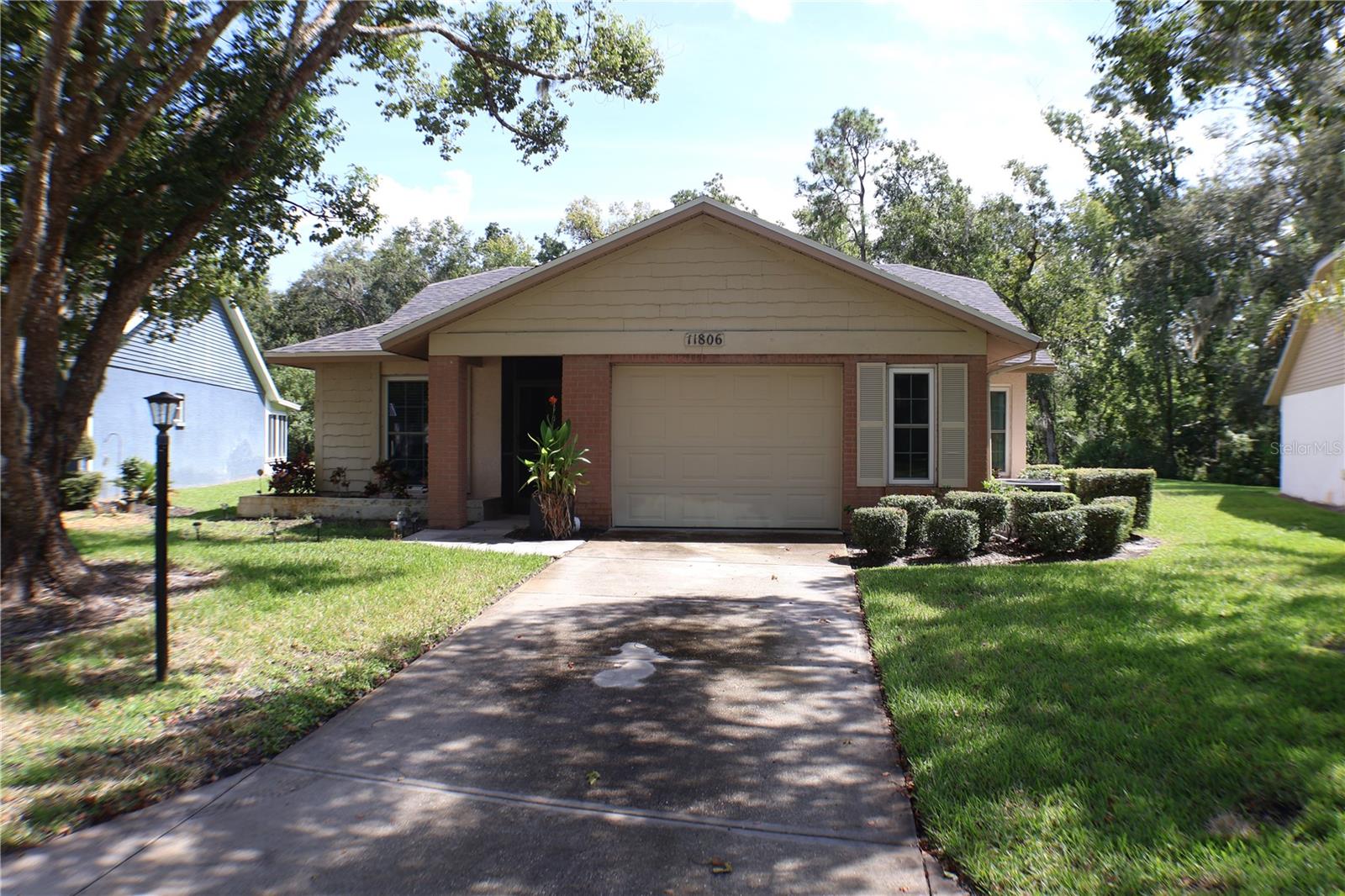 11806 White Ash Dr photo 1