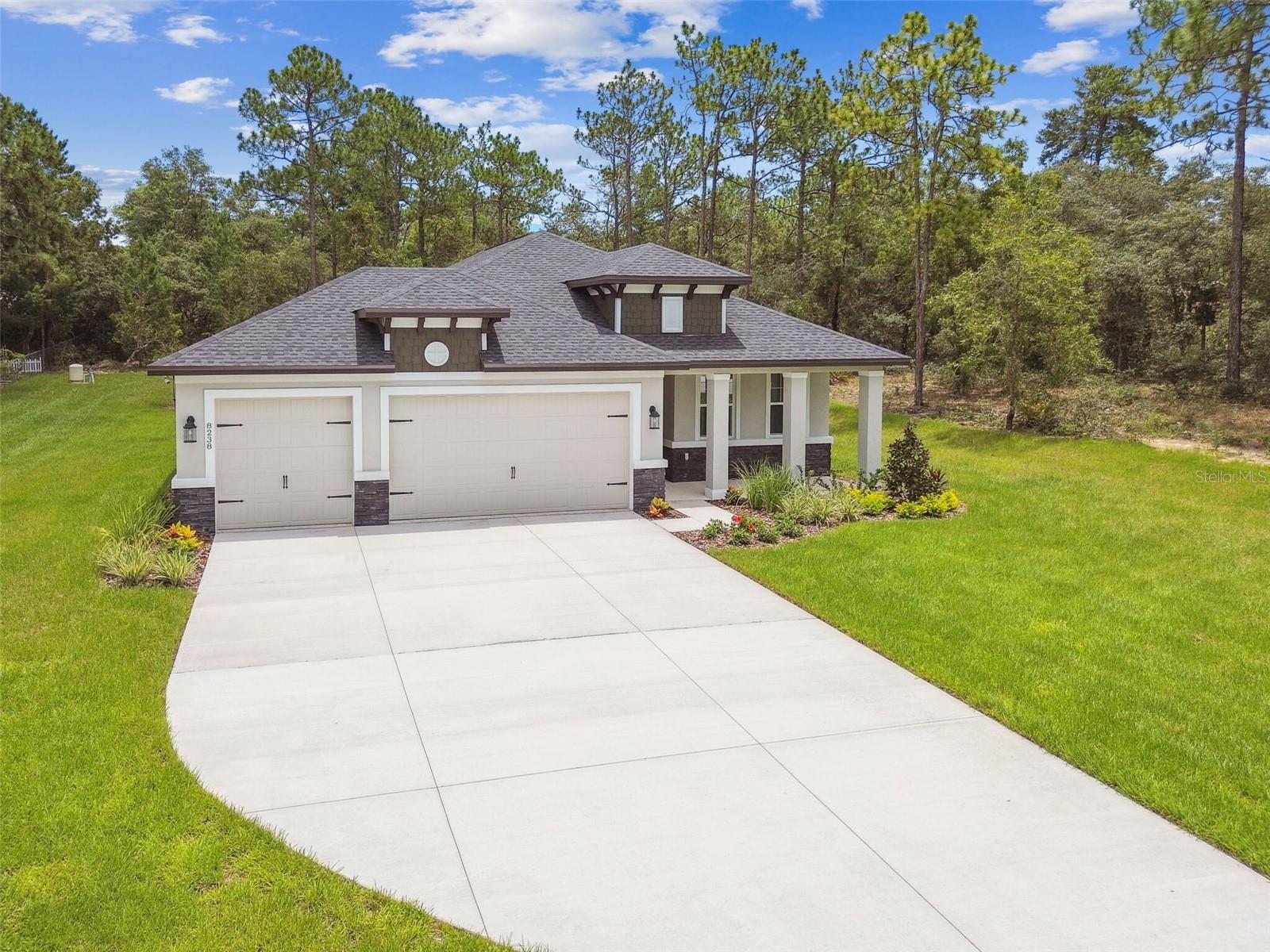 11347 Striped Bass CT