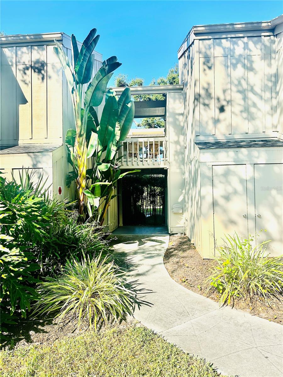 2200 Bahia Vista St #B3 photo 1
