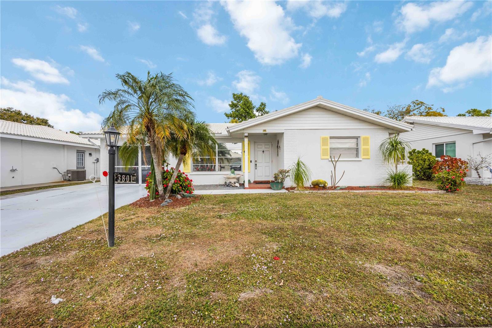 3801 Chinaberry