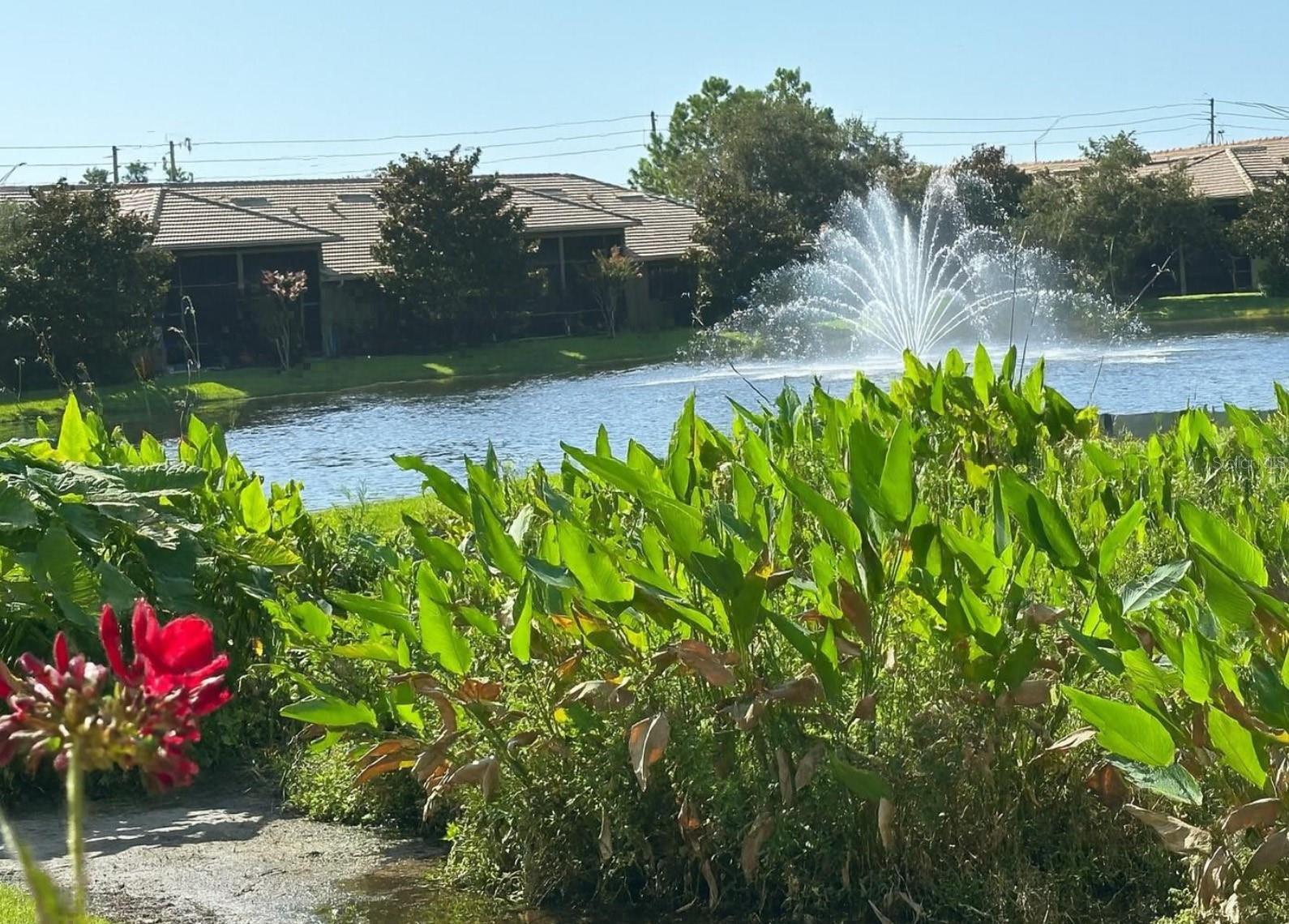 2567 Gloriosa Dr