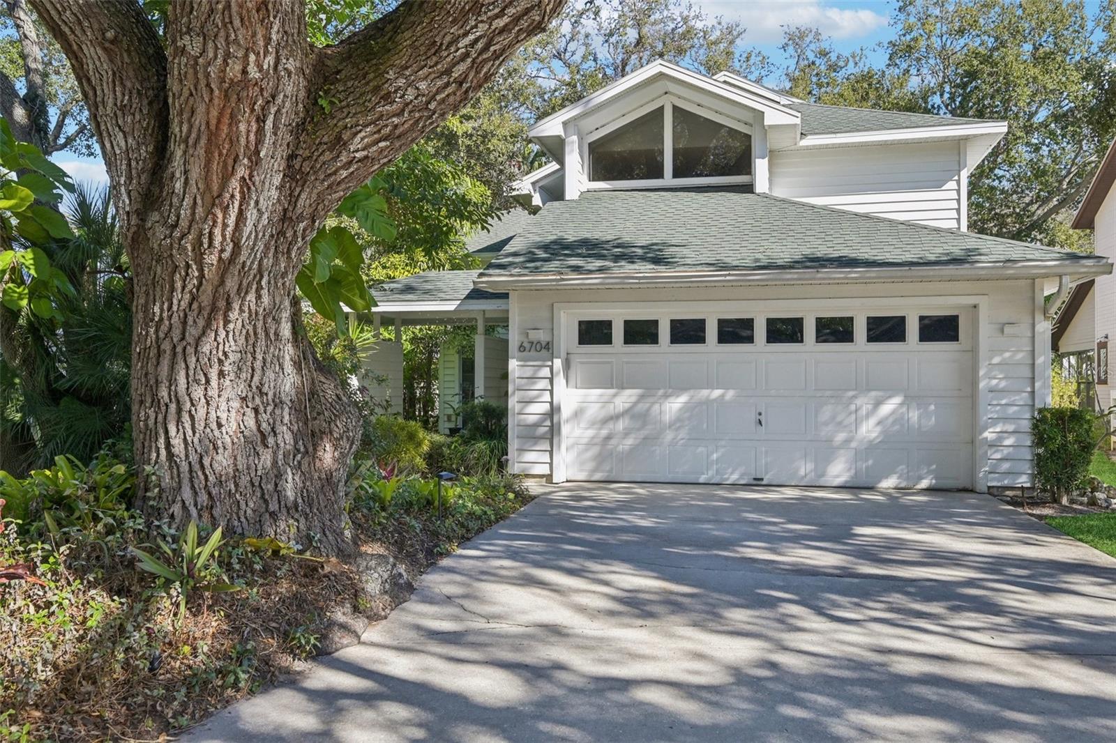 6704 Arbor Oaks Dr photo 1
