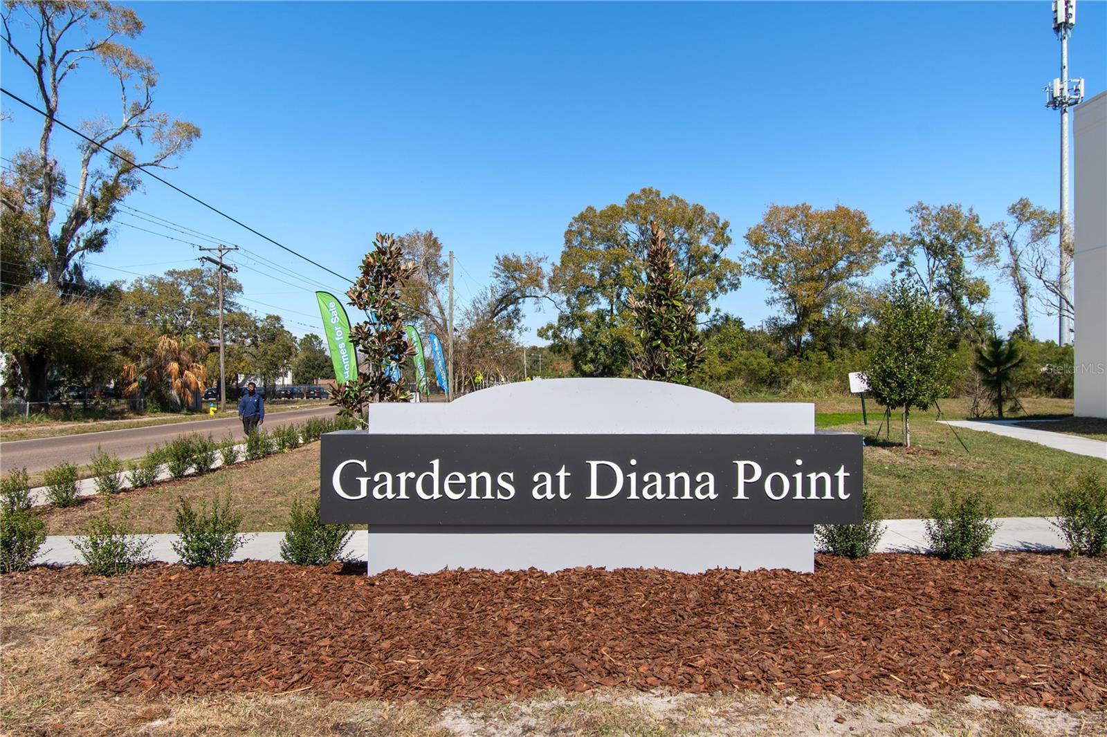 4342 Cambio Gardens CT
