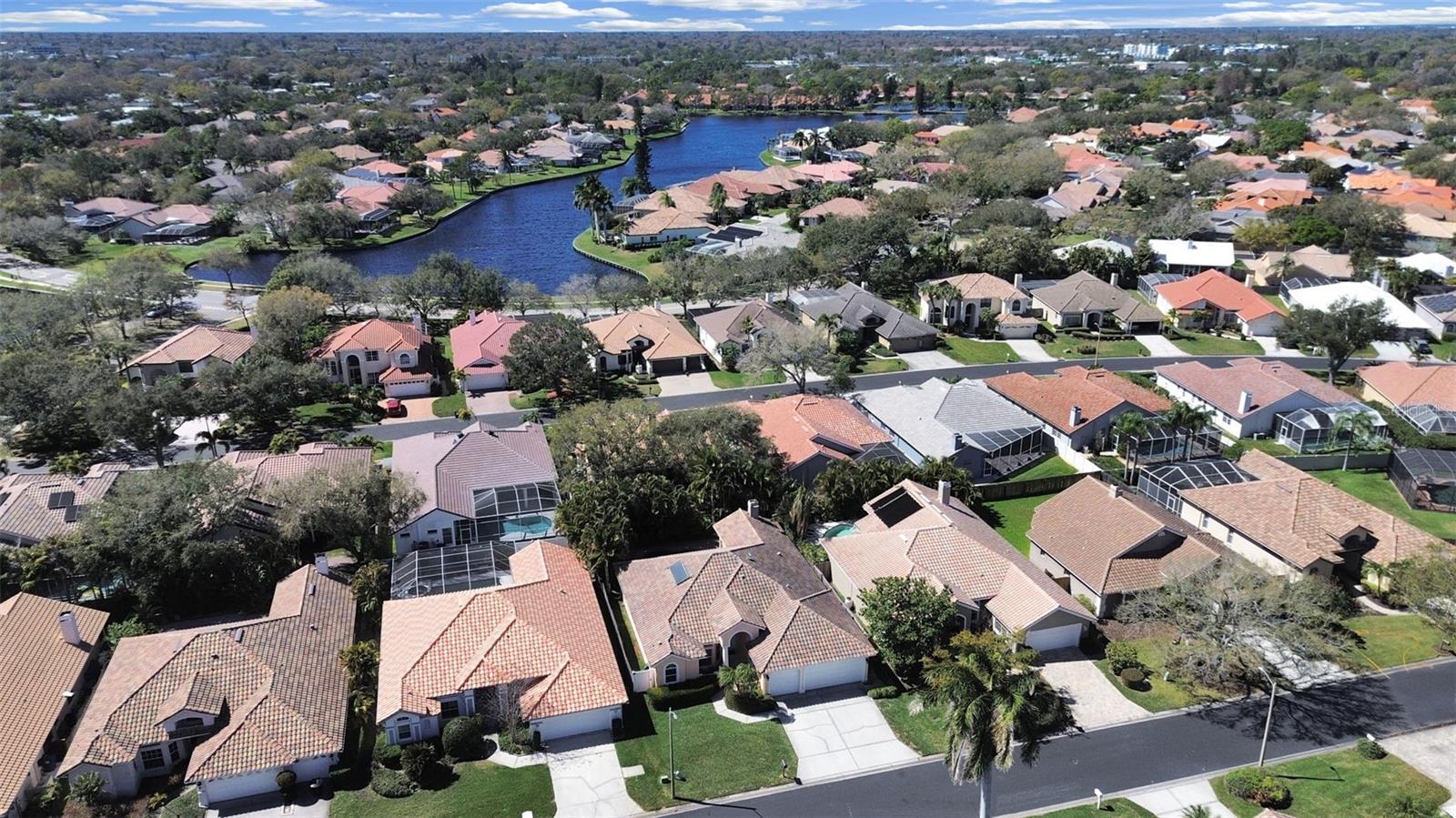 4833 Windmill Palm Ter NE