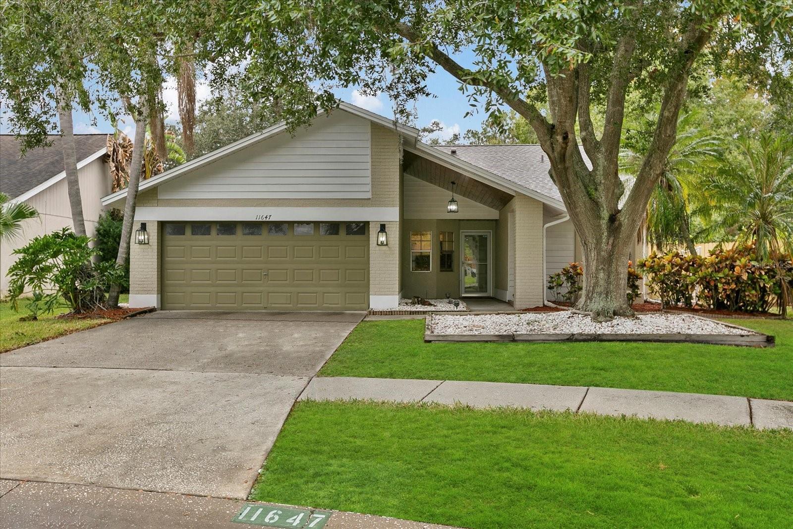 11647 Fox Creek Dr photo 1