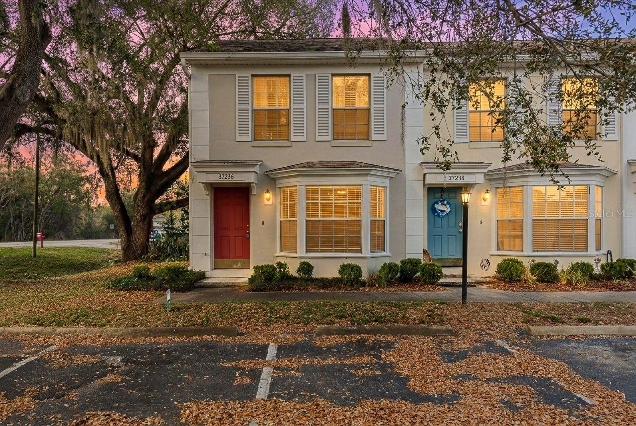 37236 Embassy Park Ln #1 photo 1