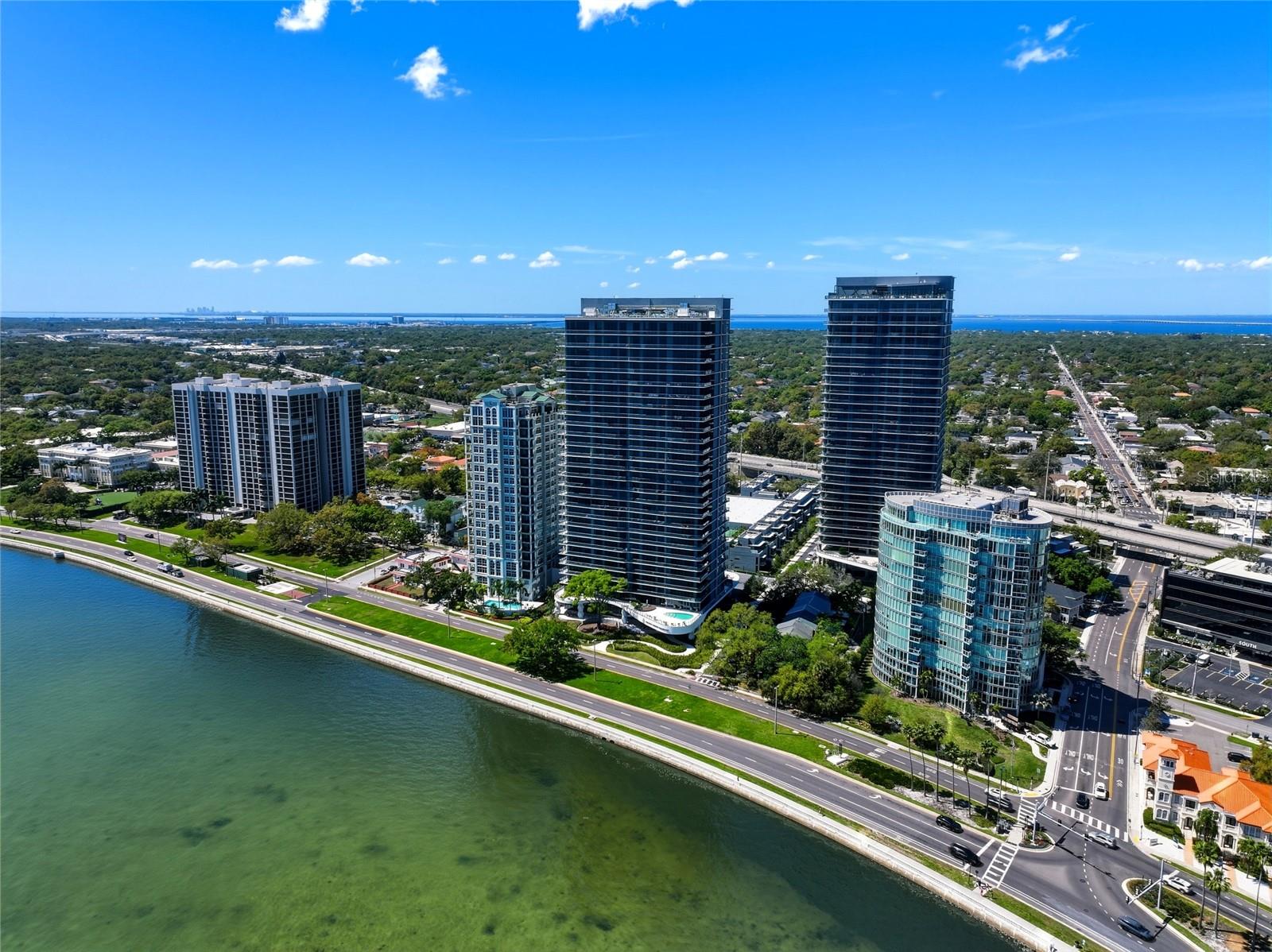 3101 Bayshore Blvd #504 photo 1