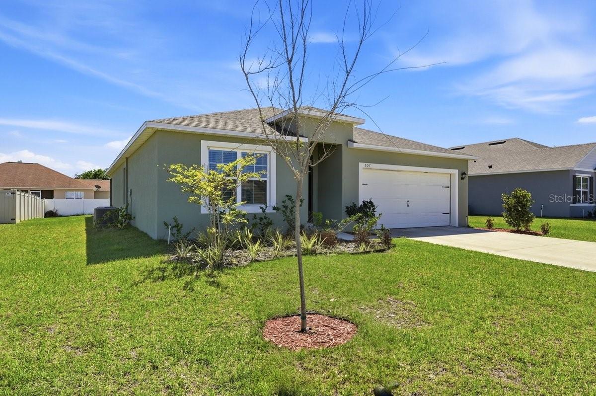807 Auburn Grove CT