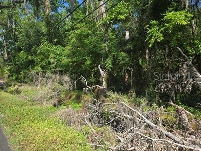 0 Fort Dade Ave photo 1