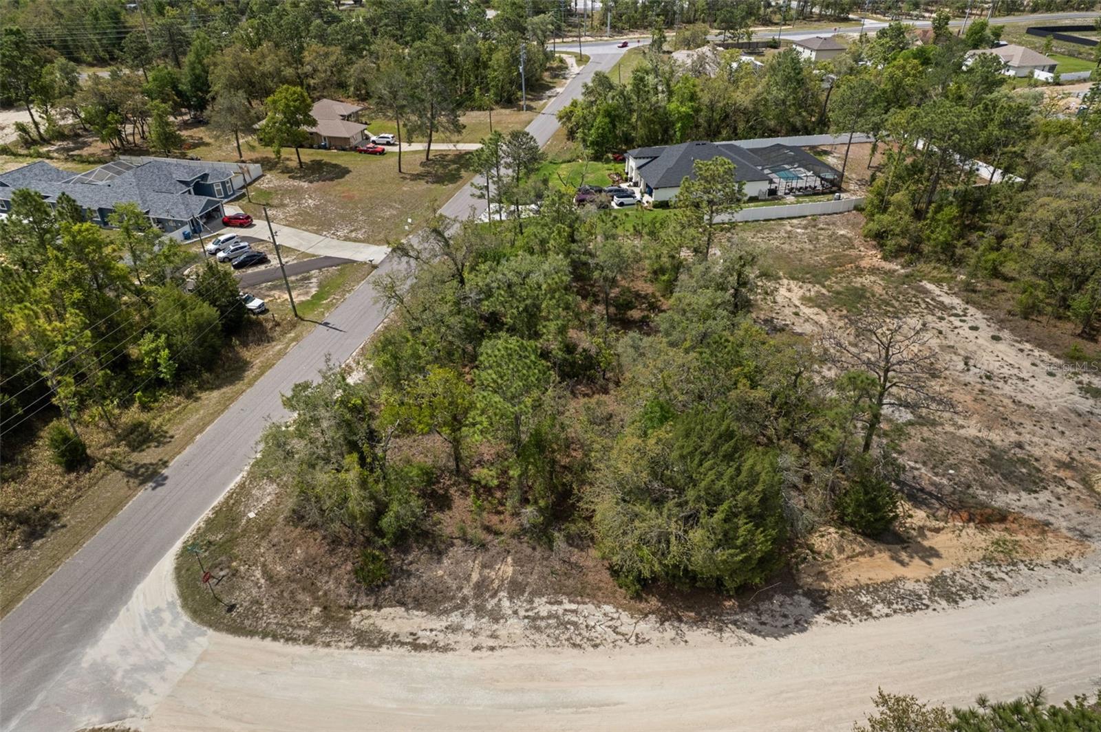 12140 Mississippi Kite Ave photo 1