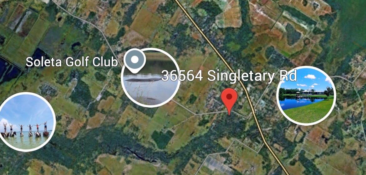 36564 Singletary Rd photo 1