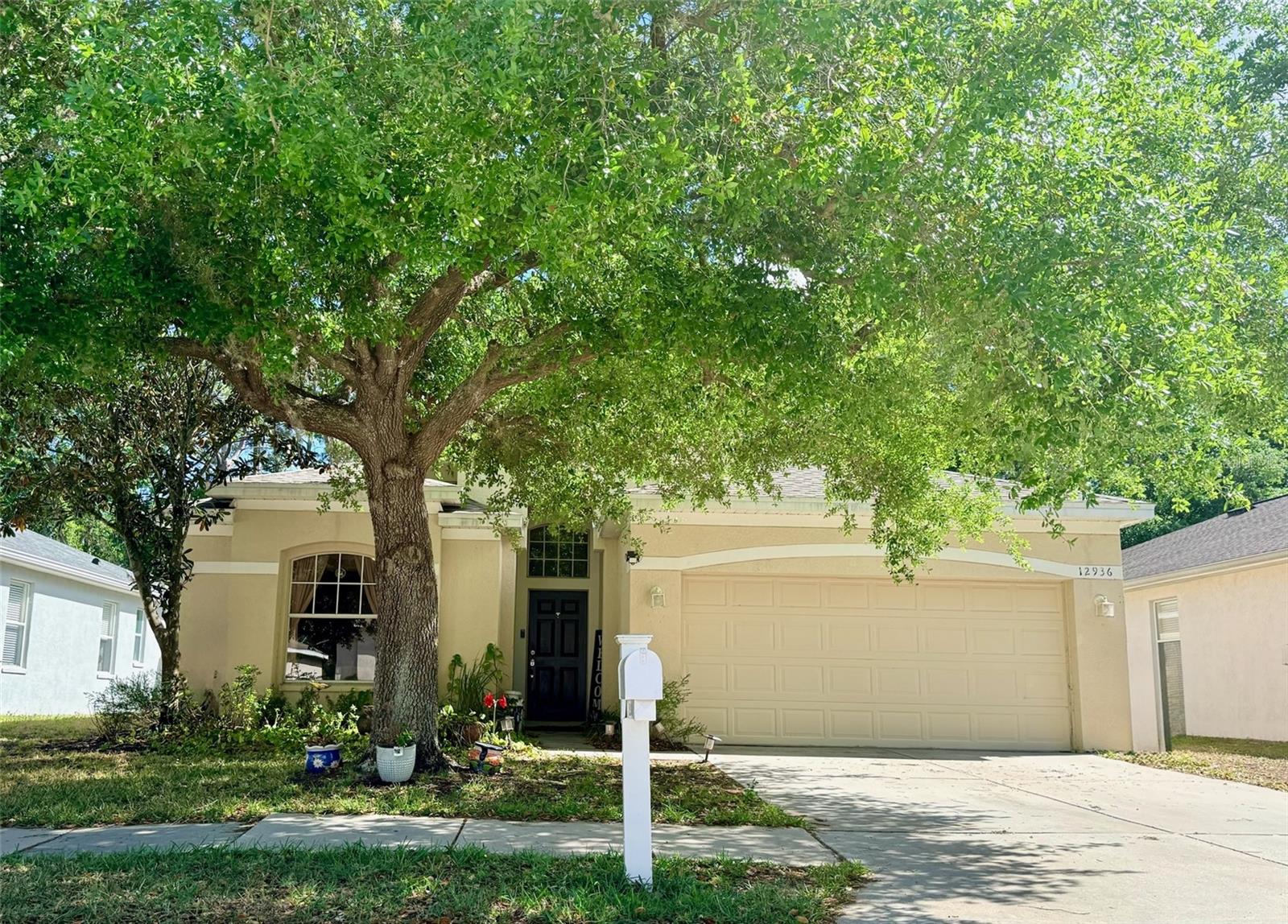 12936 Turnstone CT