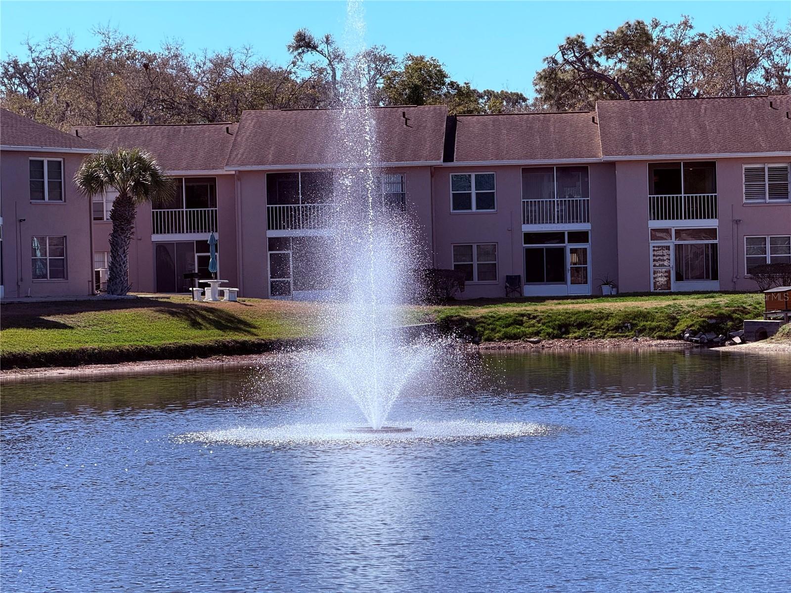 6519 Spring Flower Dr #22 photo 1