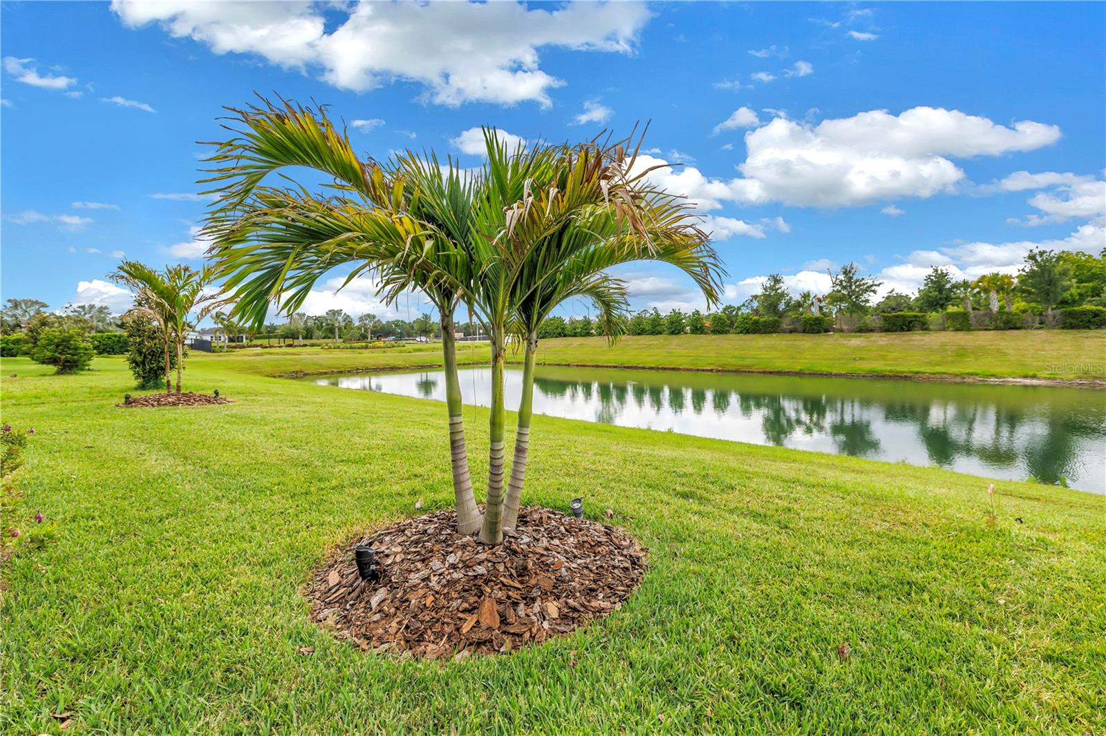 8217 Trimbelle
