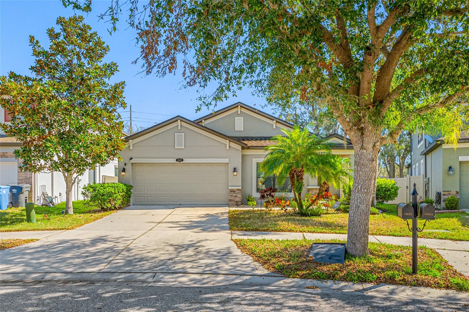 11652 Palmetto Pine St photo 1