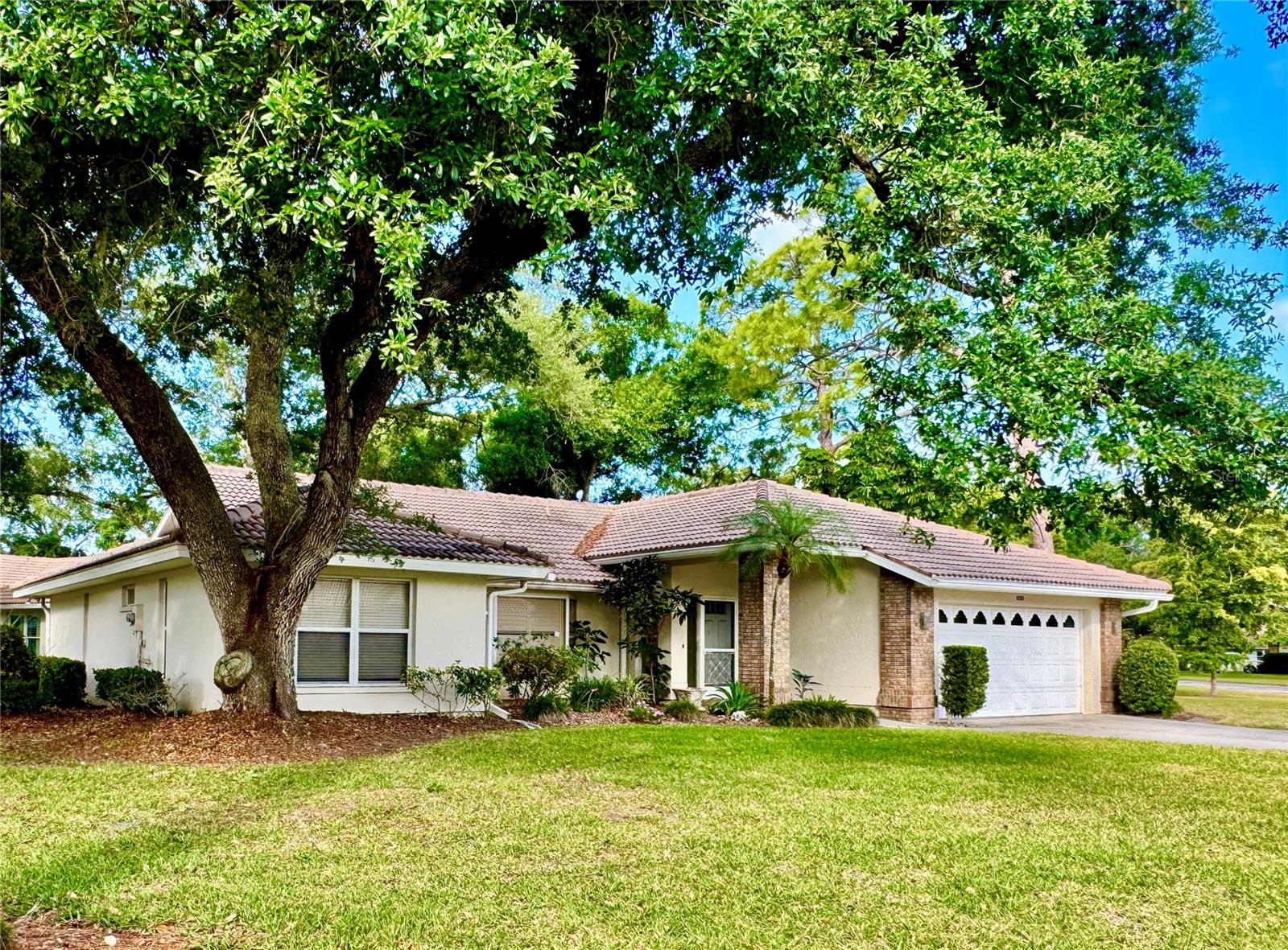 3610 Garden Lakes Ivy photo 1