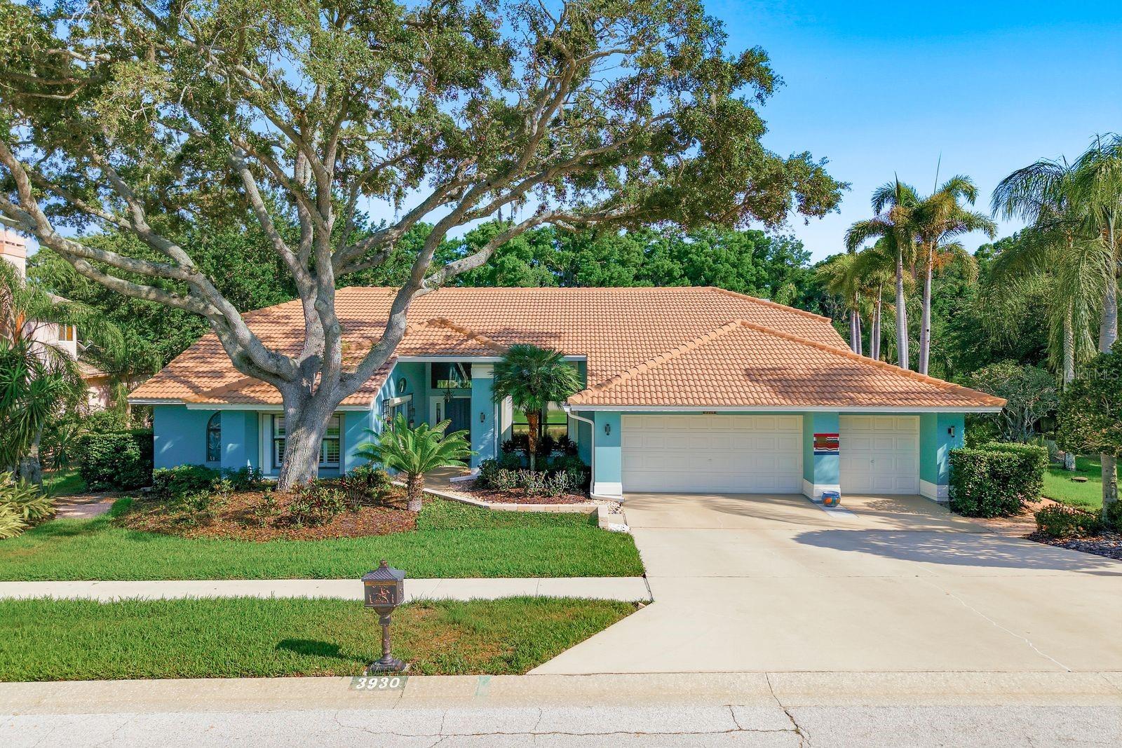 3930 Tarian CT