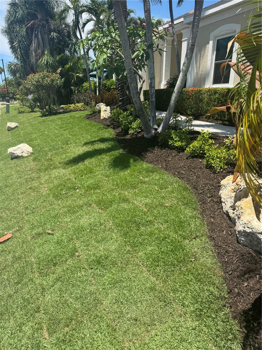 523 Juan Anasco Dr