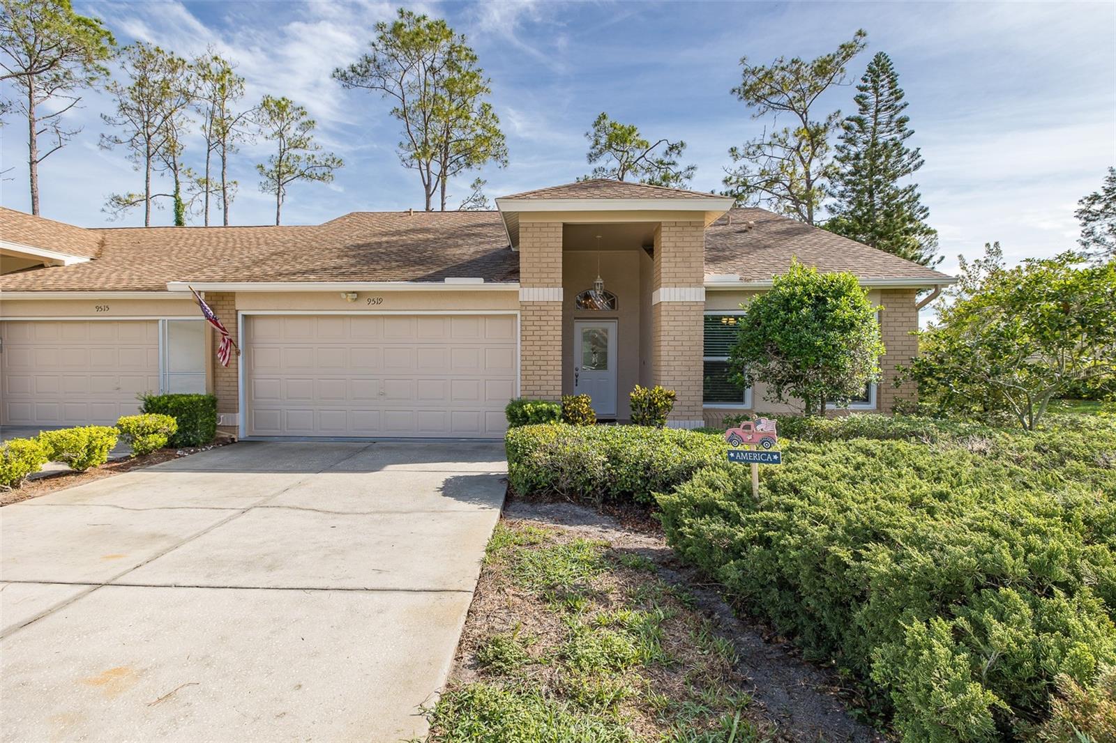 9519 Scenic Pine CT photo 1