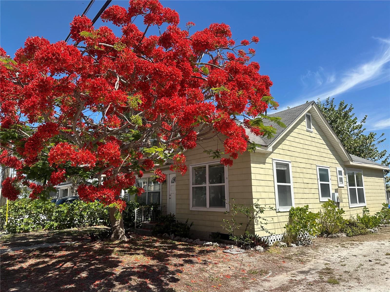 8405 Bayshore Dr photo 1