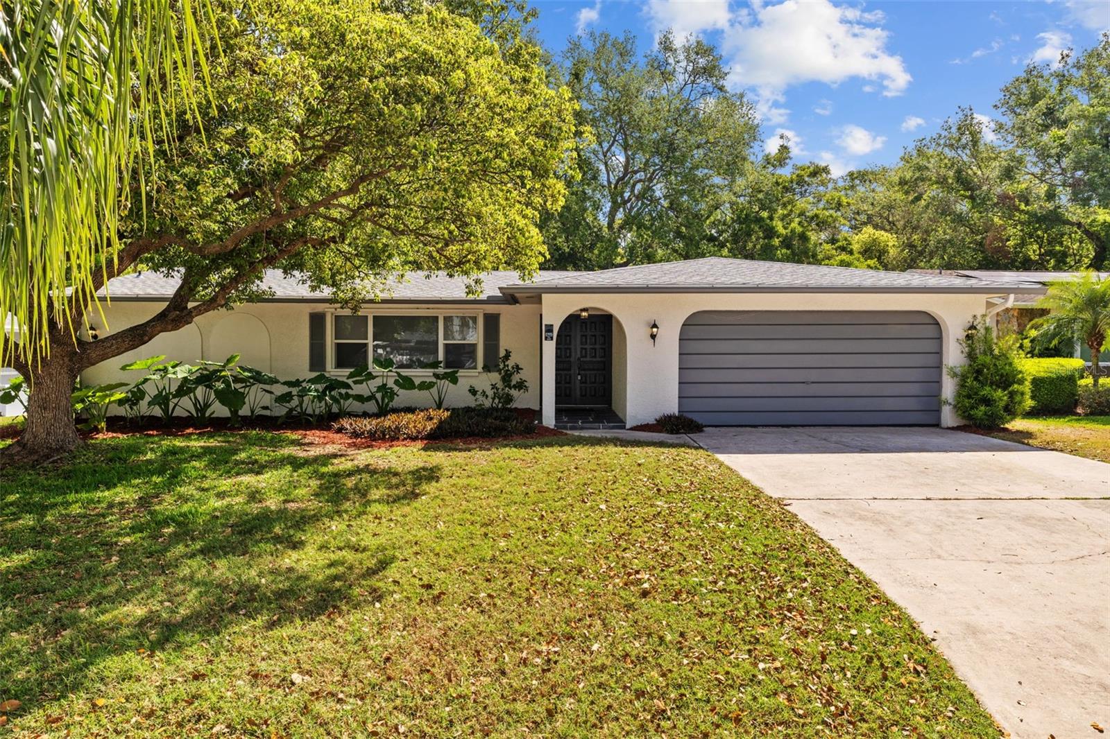 1905 Oro CT