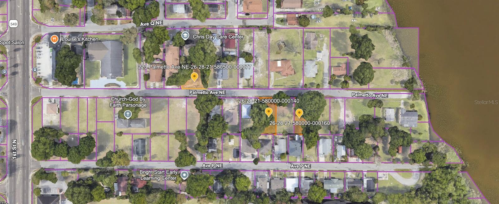 223 Palmetto Ave NE