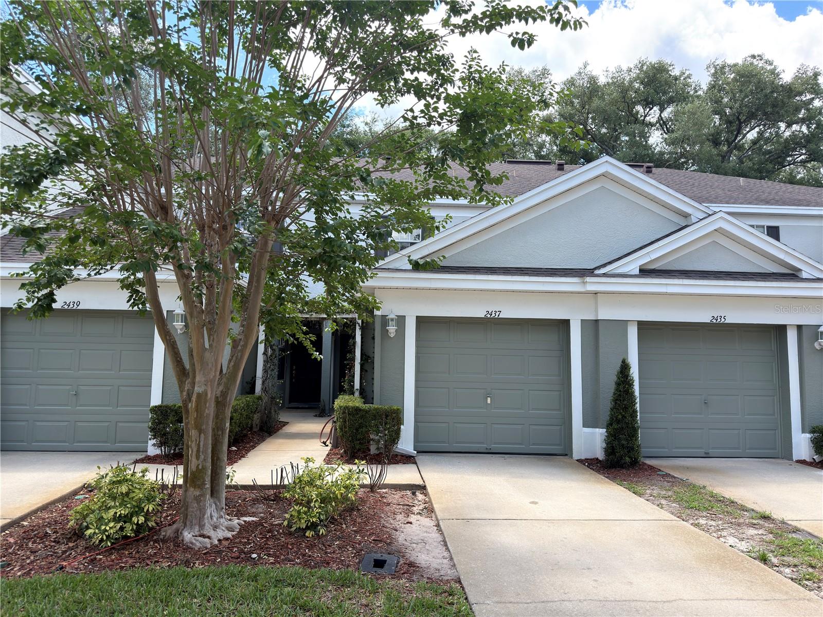 2437 Earlswood CT photo 1