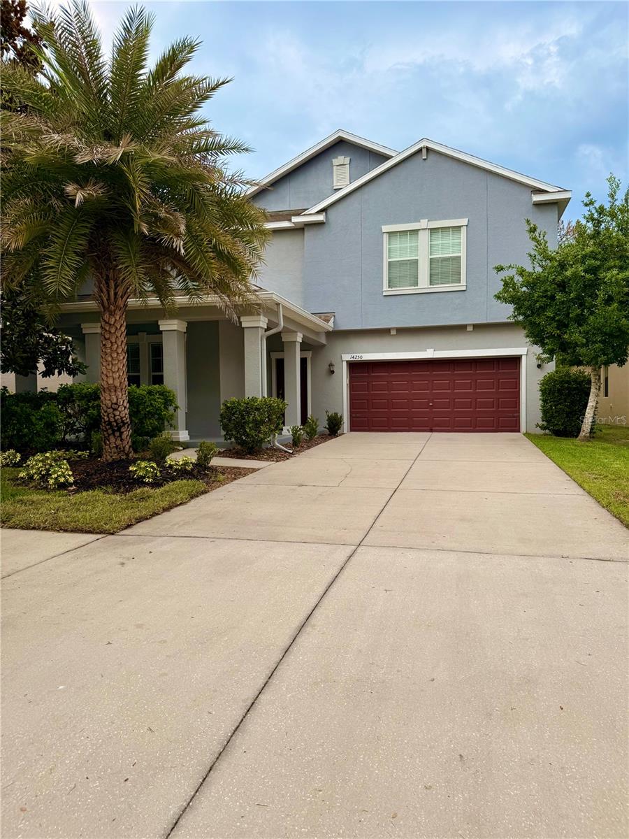 14250 Blue Dasher Dr