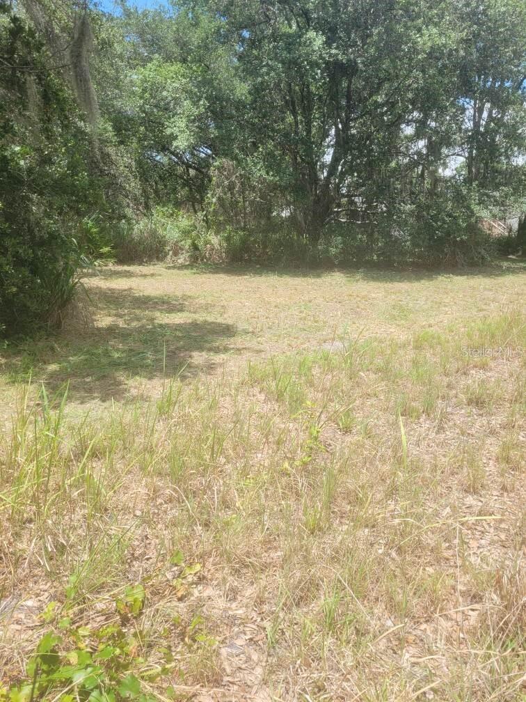 6631 Merle St