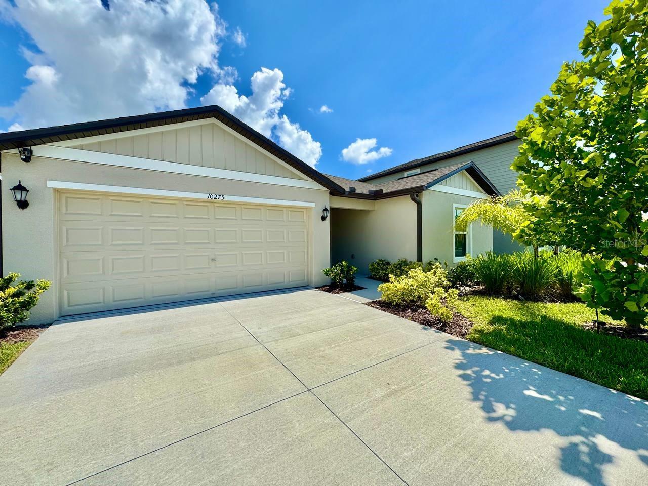 10275 Purple Leaf CT photo 1