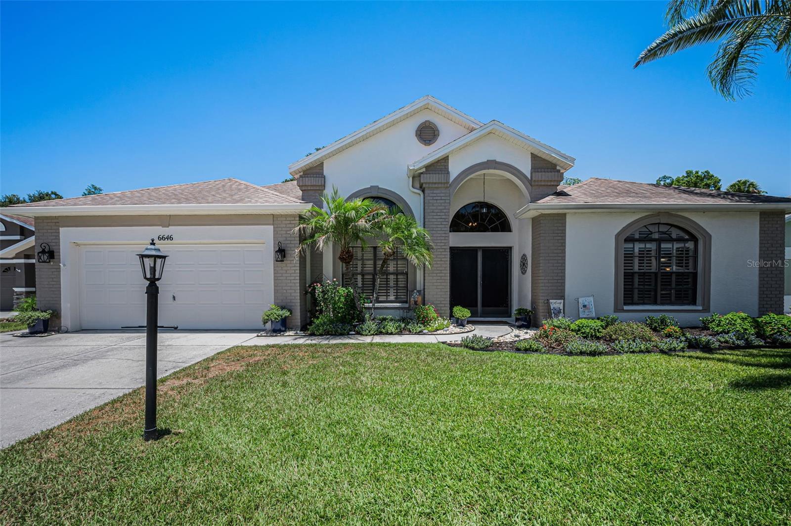 6646 Garden Palm CT photo 1