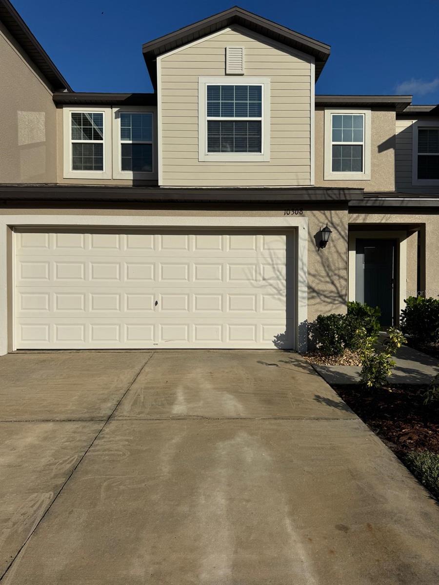 10308 Lavender Aster Trl