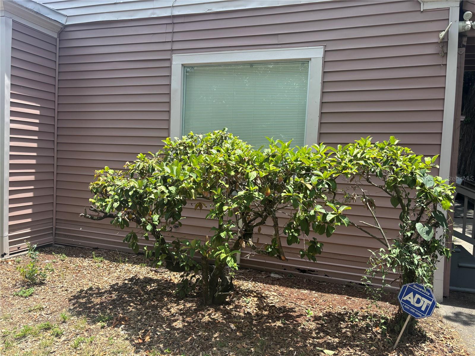 807 E Osborne Ave
