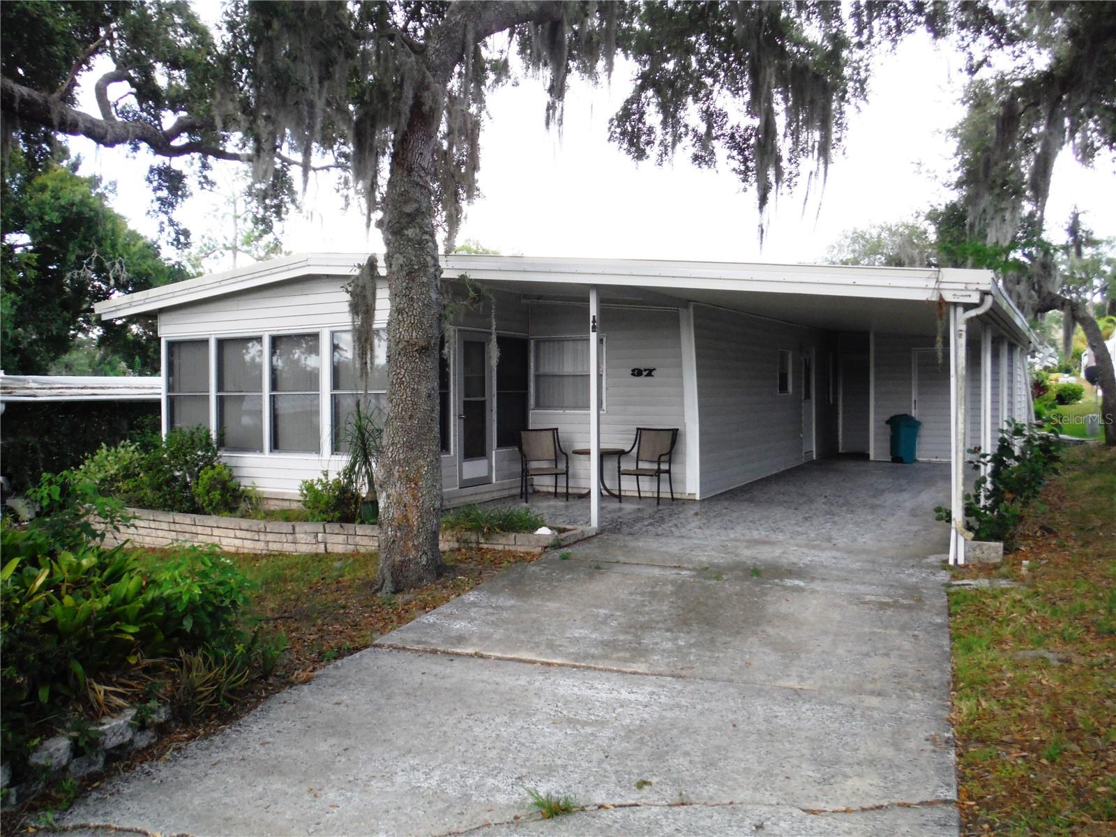 37 Honey Bear CT #54 photo 1