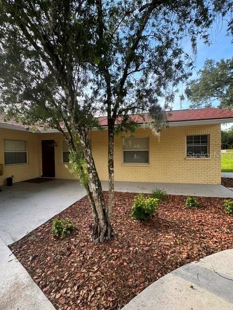 37623 Camphor Dr
